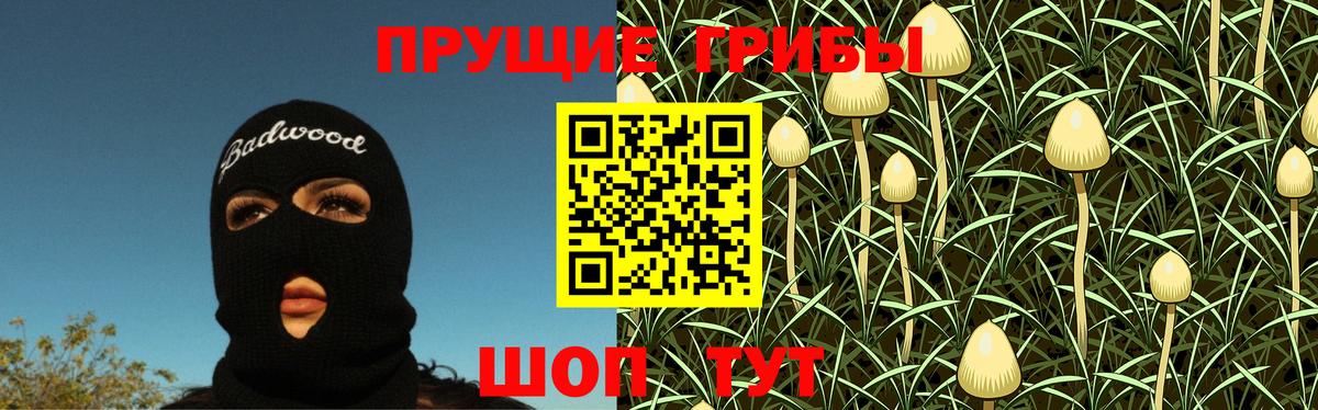 Нововоронеж  Псилоцибиновые грибы Magic Shrooms  цена   Вход с VPN 